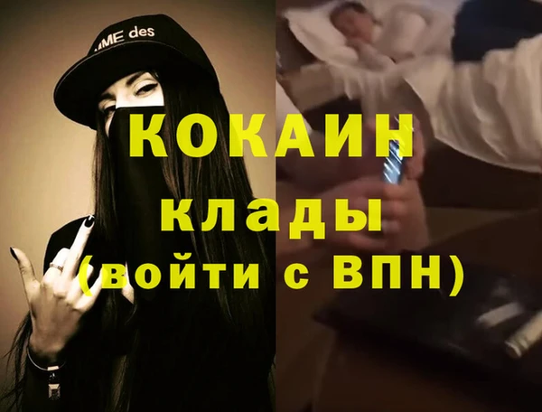 Альфа ПВП Верея