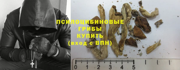 Альфа ПВП Верея