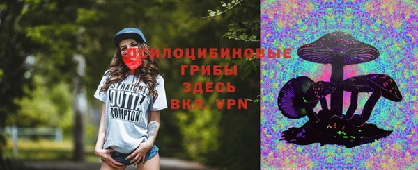 Альфа ПВП Верея